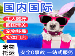 黄山屯溪航空物流国际宠物托运 【国